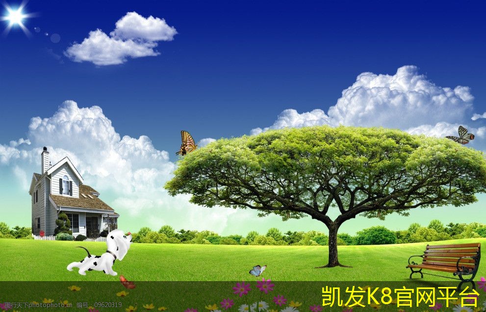 地毯清洗前后的维护建议