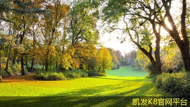 地毯的材质种类及其优缺点