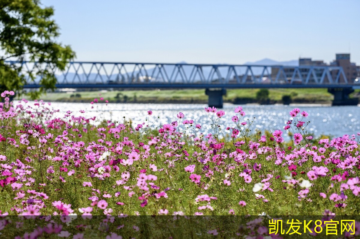 塑胶地板与地砖的优劣对比