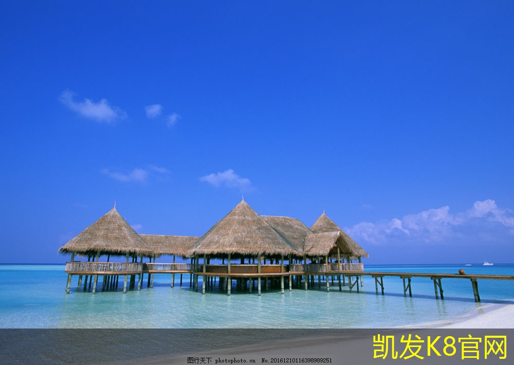 提升家居舒适度的满铺地毯选择指南