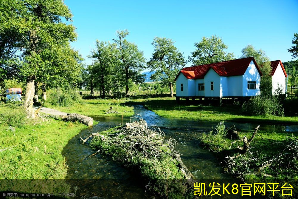 汽车脚垫与车内装饰风格的搭配建议