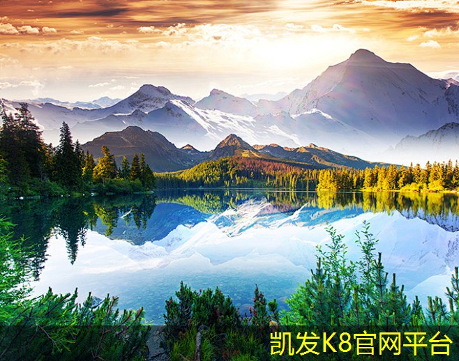 塑胶地板的环保性能分析