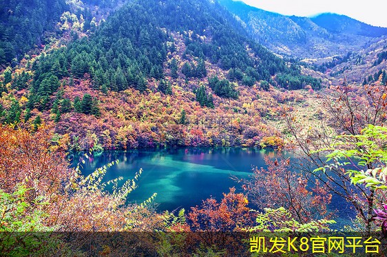 如何有效修复地面起砂问题