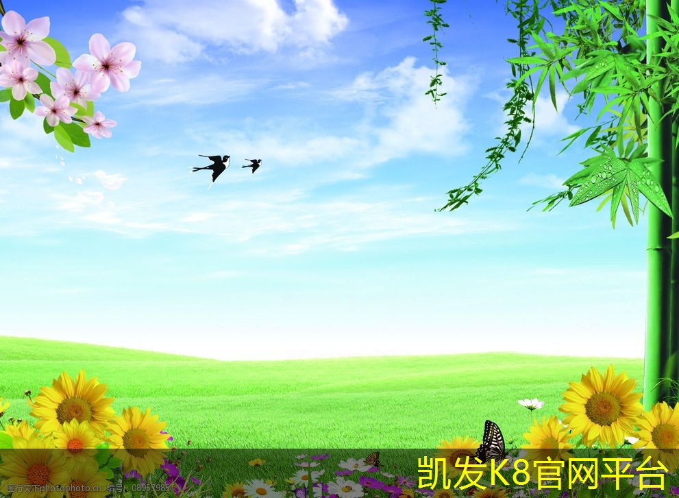 如何根据运动类型选择运动地板
