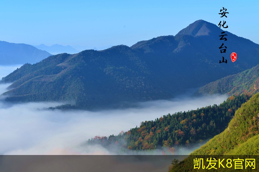 如何检测电梯地胶的质量