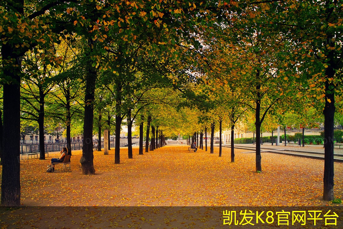 如何清洁不同类型地毯的技巧