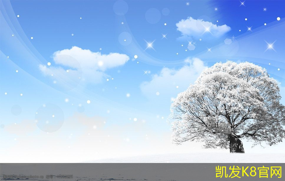 如何清洗和保养毛刷垫