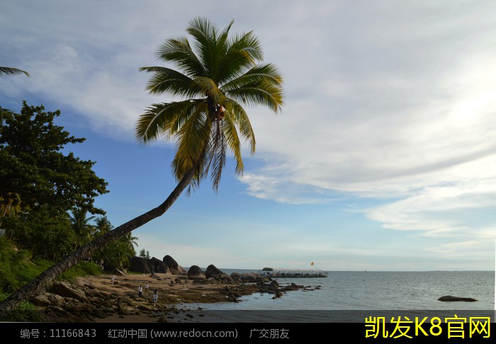 如何识别优质运动地板的关键指标