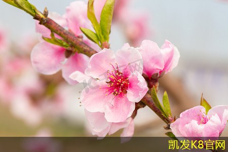 如何选择专业的防静电地板水泥自流平施工团队