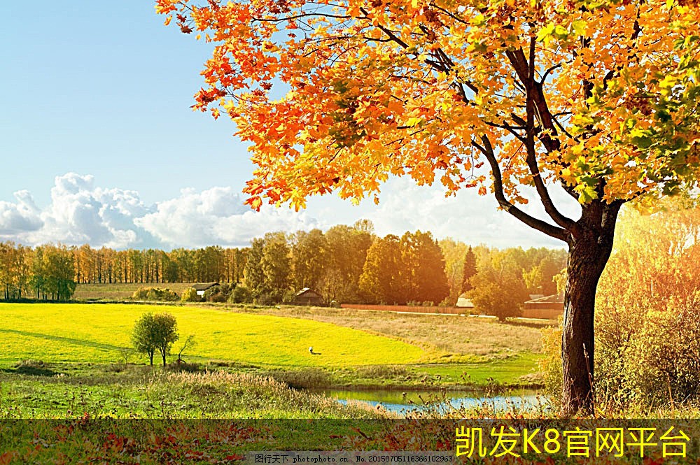 如何选择适合你的悬浮地板