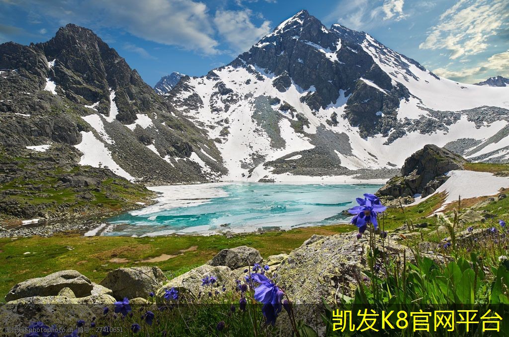 如何选择适合的锁扣地板类型