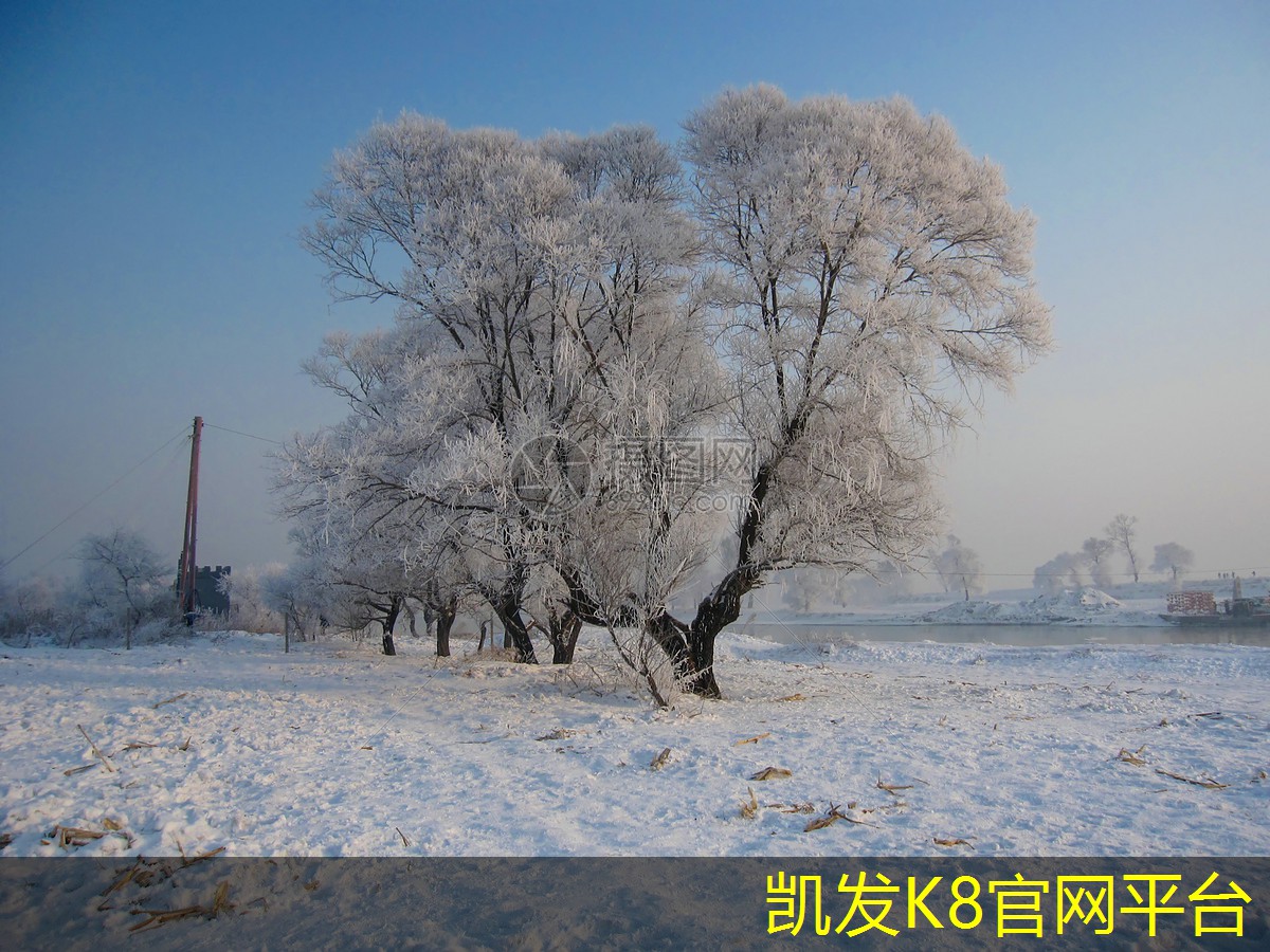 如何选购耐磨耐脏的汽车脚垫