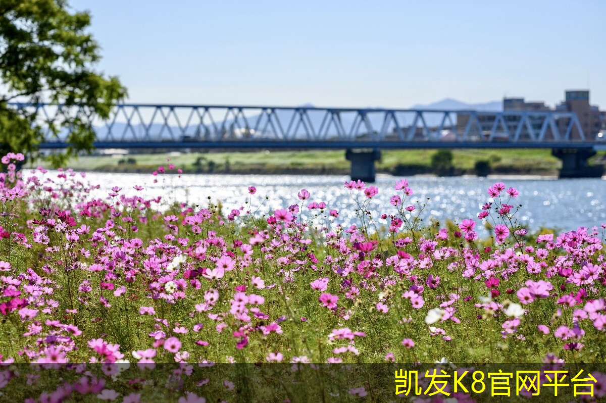 市面上最受欢迎的汽车脚垫品牌