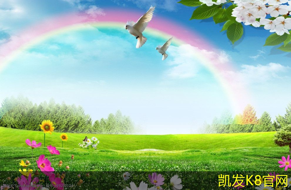 市面上最受欢迎的汽车脚垫品牌