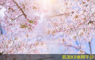 橡胶地板安装步骤详解