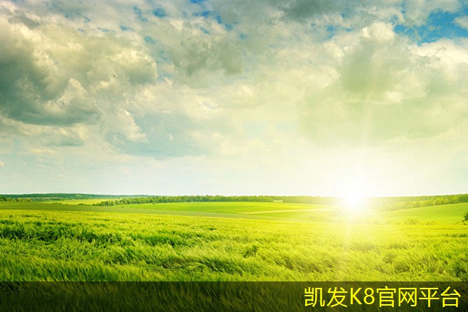 方块地毯与传统地毯的区别与优势