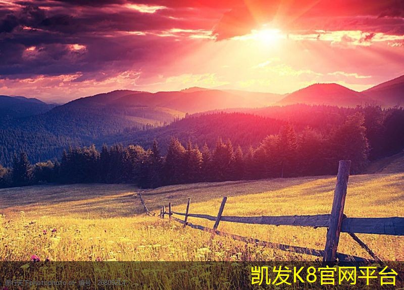 方块地毯在儿童房的安全性与舒适性