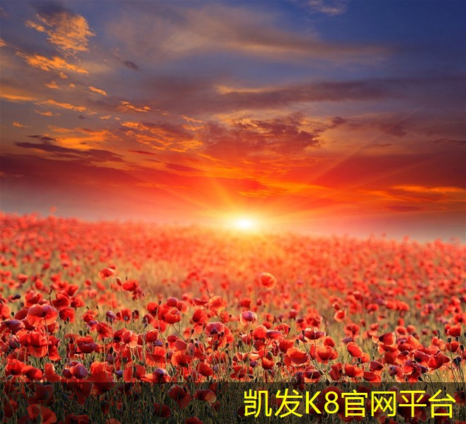 方块地毯的清洁与保养指南