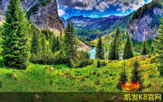 方块地毯适合哪些类型的地面
