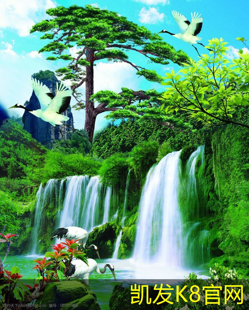 橡胶地板的颜色和设计选择指南