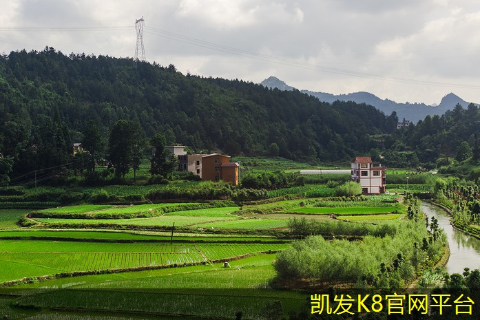 满铺地毯在不同风格家居中的应用