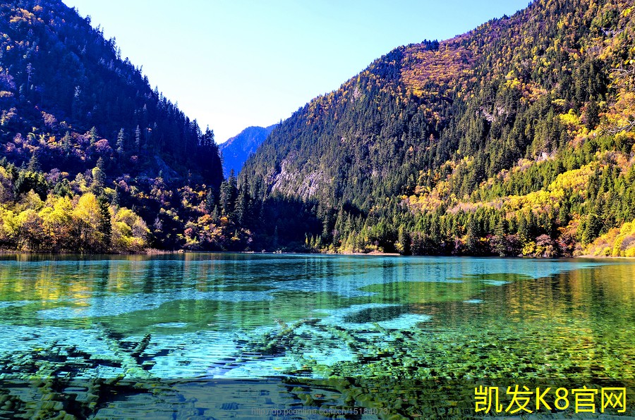 球场地坪漆与运动安全的关系