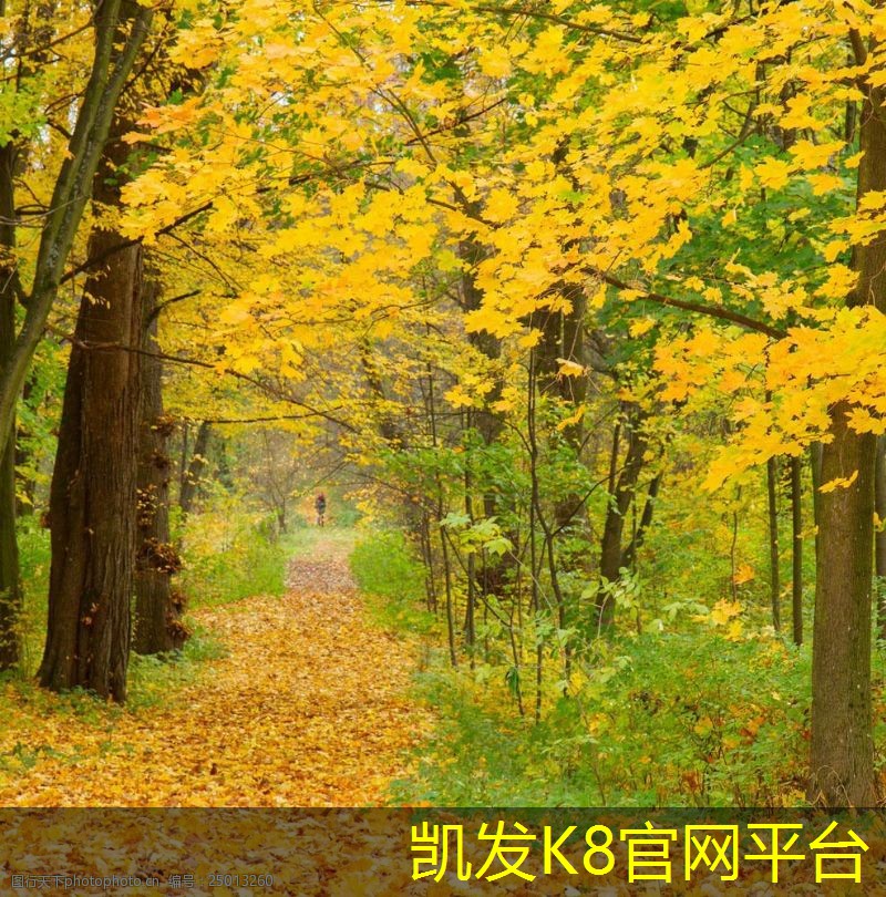 球场地坪漆施工步骤详解