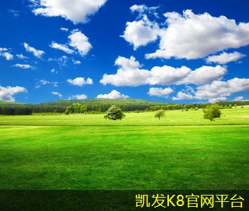 电梯地胶安装技巧与注意事项