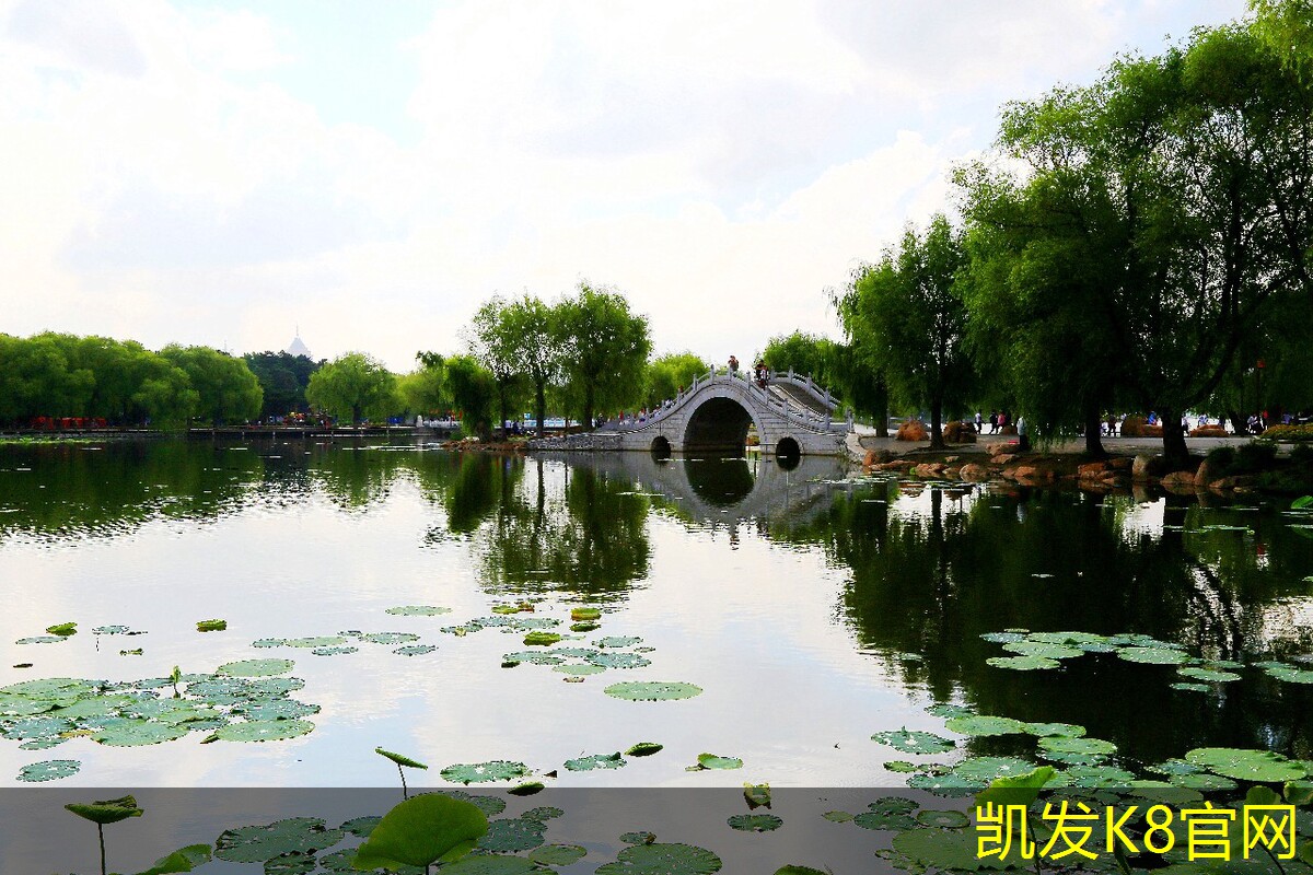 电梯地胶的环保材料推荐