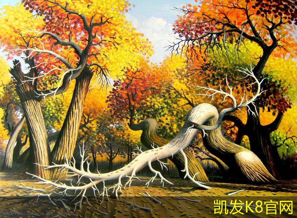 电梯地胶的行业发展现状与前景