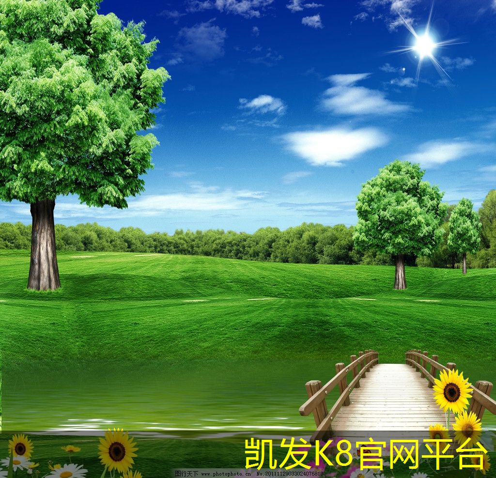 经济实惠的床边毯购买建议和推荐