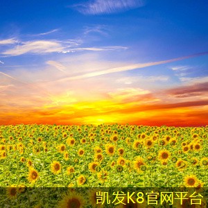 铝合金门垫与其他门垫材料的比较