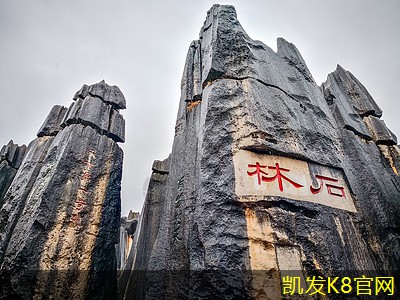 运动地板对运动表现的影响