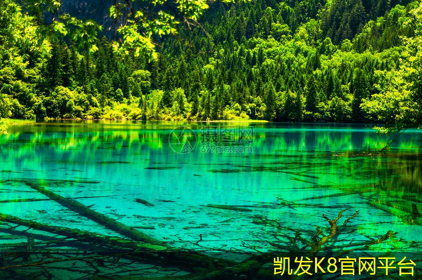 运动地板的清洁和维护指南