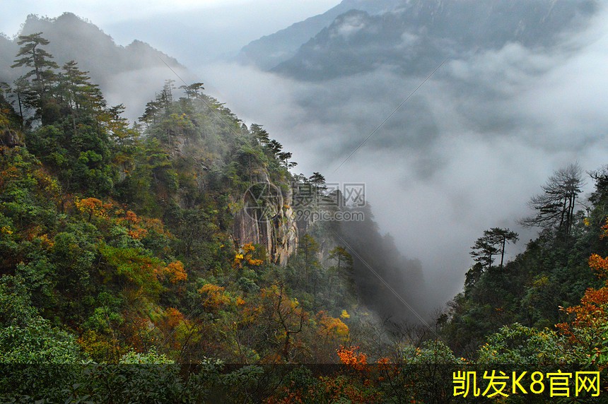 选择木楼梯地毯时需考虑的因素