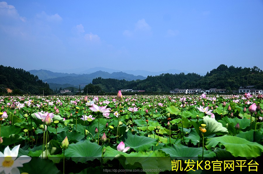 选购塑胶地板时的常见误区