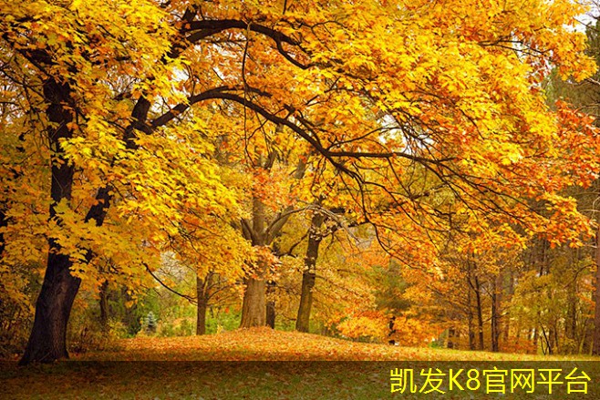 铝合金门垫的安装注意事项