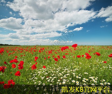 铝合金门垫的清洁与保养方法