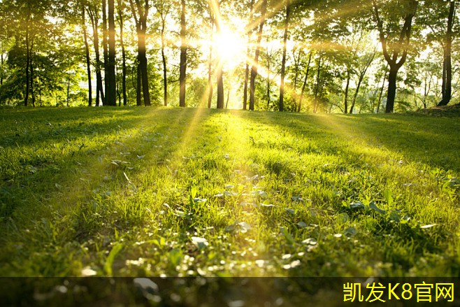 锁扣地板与其他地板材料的区别