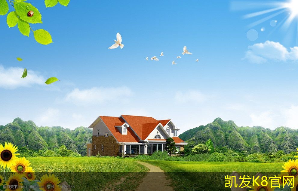 锁扣地板的价格因素及预算规划