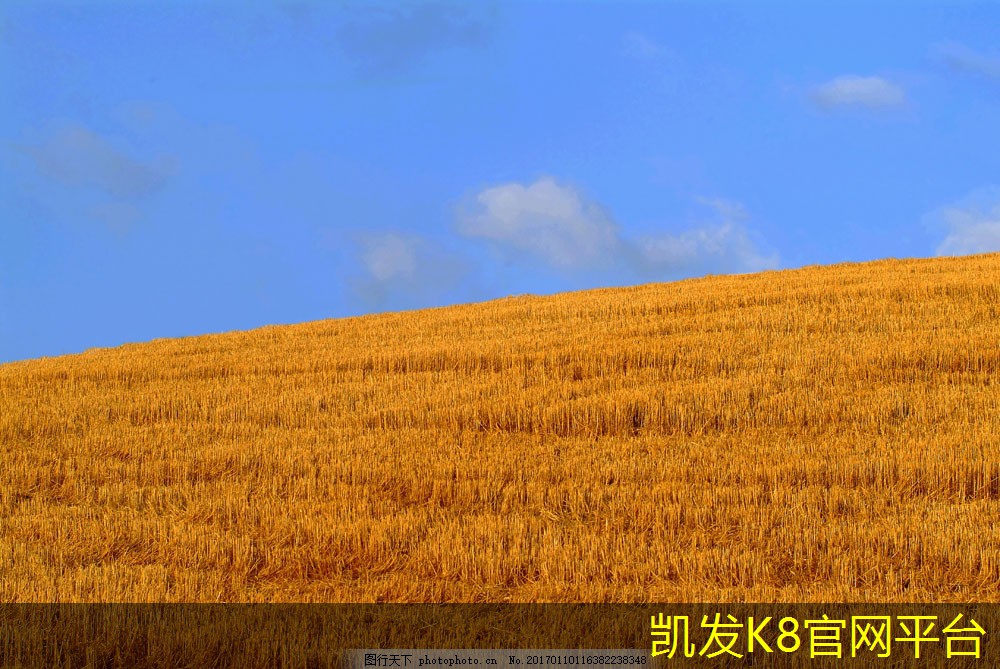 锁扣地板的耐用性及使用寿命
