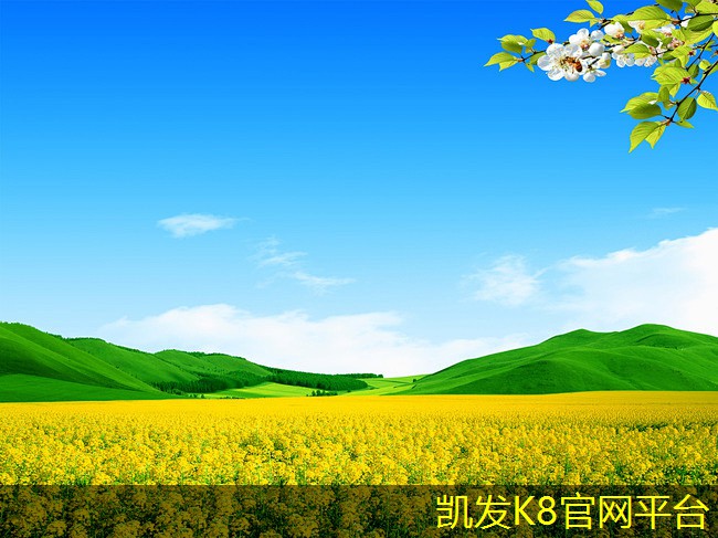 锁扣地板的舒适度与声学性能