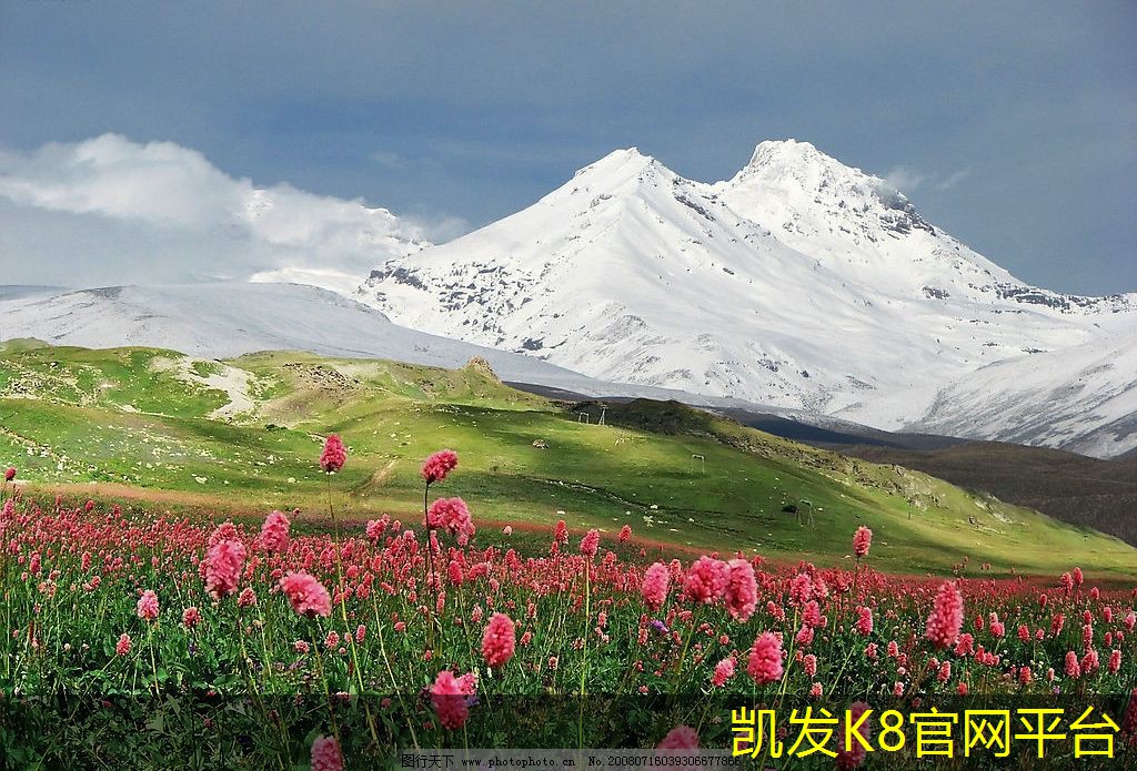 高性价比浴室垫推荐