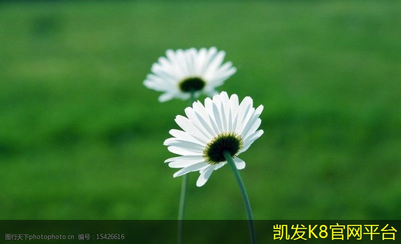 高性能球场地坪漆的选择指南